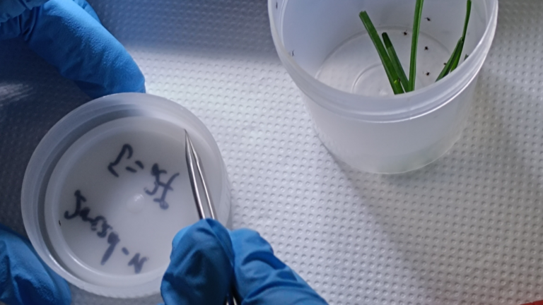 Završetak prijema učesnika sa ubodom krpelja u okviru projekta TalkToTick